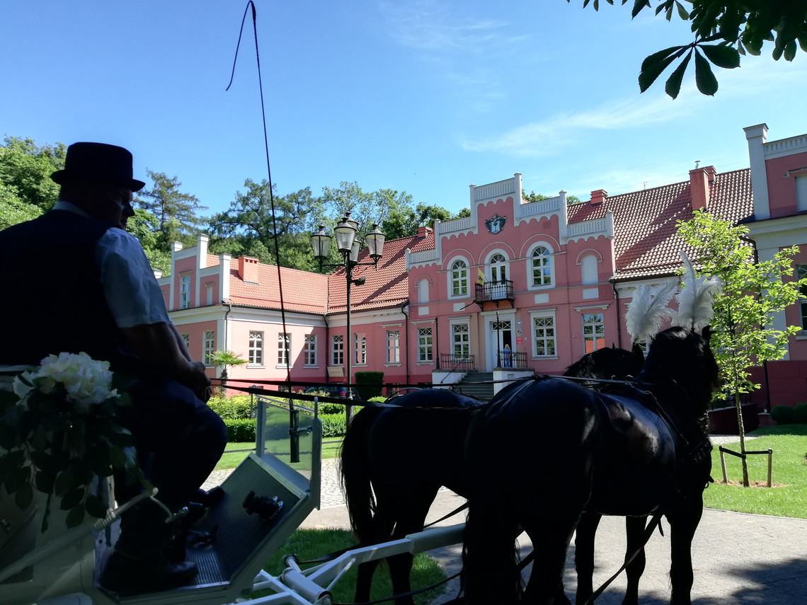 Zdjęcie do newsa Jak to w pałacu - letnie wakacje w Muzeum Wejherowo